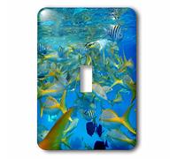 3dRose LSP_236595_1 Many Colorful Fish in The Ocean Interrupteur à baïonnette, Ne s'applique Pas