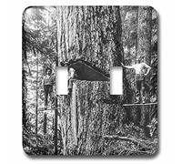 3dRose LSP_246326_2 Vintage Lumberjacks Oregon Giant Douglas Fir Tree Logger Magic Lantern Interrupteur à baïonnette, Multicolore