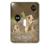 3dRose LSP_27350_1 Groundhog I Saw My Shadow Interrupteur à baïonnette, Multicolore