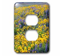 3dRose LSP_279645_6 Springtime Bloom of Flowers, Dalles Mountain State Park, Washington Bouchon de prise mixte