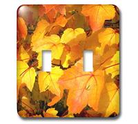 3dRose LSP_28917_2 Beautiful and Gold Fall Leaves Interrupteur à baïonnette, Or/Orange