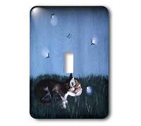 3dRose lsp_44351_1 "Side View Of Kitten In The Grass Looking At Lightning Bugs Interrupteur à baïonnette