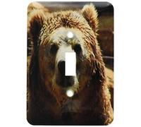 3dRose LSP_57069_1 Grizzly Bear Just Out of Water Interrupteur à bascule, sans objet