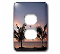 3dRose lsp_75600_6 Îles Caïmans, Palmiers, Caraïbes Seaca42 Pso0079 Paul Souders Couvercle de prise 2 prises