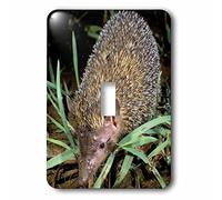 3dRose LSP_76253_1 Madagascar Interrupteur à bascule simple