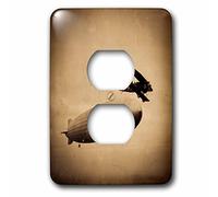 3dRose lsp_77352_6 The Graf Zeppelin approchant New York City Photographe Sepia 2 prises de prise de courant