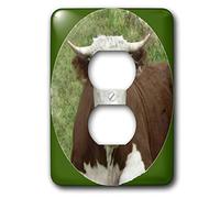 3dRose lsp_8058_6 Capot de prise 2