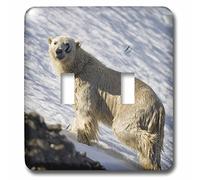 3dRose lsp_82450_2 Norvège, Svalbard, Spitsbergen Island, Polar Bear Eu21 Pso0389 Paul Souders Interrupteur à bascule double
