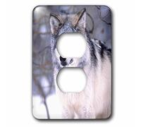 3dRose lsp_83899_6 Timber Wolf, Canis Lupus Na02 Dno0319 David Northcott Cache 2 prises