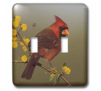 3dRose lsp_84562_2 Nord Cardinal Oiseau Lake Corpus Christi Texas Na02 Rnu0701 Rolf Nussbaumer Double interrupteur à bascule