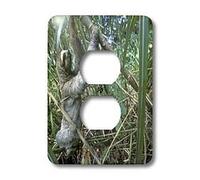 3dRose Lsp_86928_6 Panama, province du colon, paresseux à trois orteils - Sa15 Pso0002 - Paul Souders 2 prises de courant