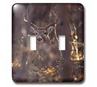 3dRose lsp_94535_2 Hagerman Nwr, Whitetailed Deer Buck Us44 Rbr0001 Rick A. Double interrupteur marron