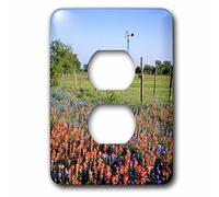 3dRose LSP_94538_6 Texas Llano Pinceau indien Bluebonnets-US44 RER0000-Ric Argenbright 2 prises de courant, multicolore