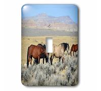 3dRose LSP_98653_1 Wild Mustang Horses in Nevada.jpg Interrupteur à bascule unique Multicolore