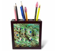 3dRose ph_156169_1 Porte-Stylo en Forme de Queue de Paon avec Plumes et Yeux 12,7 cm