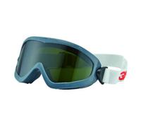 3M 3M Lunettes de protection 2895,AS,AF, UV,PC,vert IR5.0,non ventilé Quantité:1