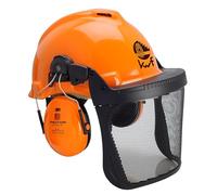 3M Accessoires forestiers - Casque forestier avec visière et Protection AUD