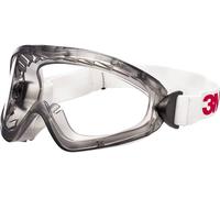 3M Lunettes-masque de sécurité 2890S
