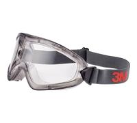 3M Lunettes intégrales 2891-SG avec protection anti-buée gris