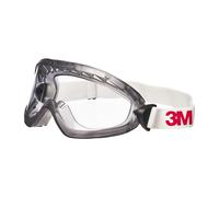 3M™ Safety Goggles 2890, Indirect Vented, Anti-Fog