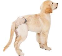 3pcs Couches Chien Femelle Culottes Hygiénique Lavable Réutilisable souffrant d’incontinence Pipi Protection Prévenir Harcèlement L