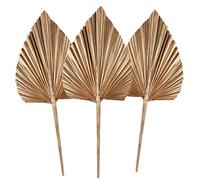 3Pcs Feuilles de Palmier Séchées Lances de Palmier Séchées Naturelles, Petit Eventail de Palmier Séché,Plante de Palmier avec Tige Boho Maison, Fête, Mariage,Gâteau, Décoration Gold (Gold)