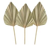 3Pcs Feuilles de Palmier Séchées Lances de Palmier Séchées Naturelles, Petit Eventail de Palmier Séché,Plante de Palmier avec Tige Boho Maison, Fête, Mariage,Gâteau, Décoration Gold (Natural)