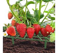 3PCS Plants de Fraises Strawberry Plants Fraise Cadre Stand Balcon Légumes Rack Plante Escalade Support Net Outil, Plantation Cadres en Plastique Sacs à Plantes Fraisier Croissance à fraisiers Stand