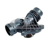 3RG 80132 Thermostat