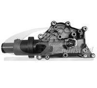 3RG 81620 Thermostat de Refroidissement