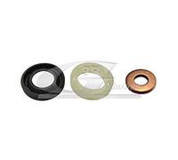 3RG INDUSTRIAL - Necessaire Injecteurs (3Pcs) - OEM 198299 - Pièces détachées pour voitures, moteurs et autres pièces de véhicules - Compatible avec de nombreux modèles de voitures et de motos.