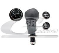 3RG INDUSTRIAL - Pommeau De Levier Vitesse - OEM 6J0711113A - Pièces détachées pour voitures, moteurs et autres pièces de véhicules - Compatible avec de nombreux modèles de voitures et de motos.