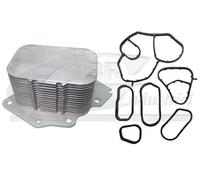 3RG INDUSTRIAL - Refroidisseur D Huile - OEM 1103L1+110436 - Pièces détachées pour voitures, moteurs et autres pièces de véhicules - Compatible avec de nombreux modèles de voitures et de motos.