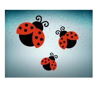 3x Autocollant sticker coccinelle insecte