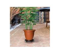 3x Chariots à Plantes avec Roues Support à Roulettes Base de Jardinière Support de Transport Extérieur Diamètre 30 cm Noir 170 kg