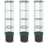 3x Plante de tomates avec couvercle et film plastique Plante de tomates avec couvercle et film plastique Plante de tomates avec couvercle et film plastique Plante de tomates avec couvercle et film pla