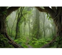 3X2M Vinyle Photographie Toile De Fond Green Forest Jungles Voir Grands Vieux Arbres Chemin Étroit Fond De Studio Photo Vidéo Photo Shooting Accessoires[YIN4186494]