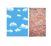 3X5Ft Sky White Cloud Photography Backdrop Screen Background Studio Props & Red Brick Wall