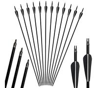 3Z Archery 12pack 31inch flèches tir à l'arc Chasse Fiberglass vis à de vis de Rechange pour 20-55lbs composé et recurve