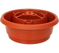 4 anneaux d'irrigation plantes I pots de culture I système d'arrosage anti nuisible