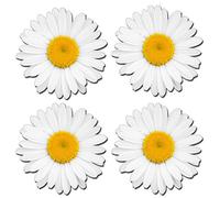 Lot de 4 autocollants en vinyle brillant - Motif fleurs et marguerites - Pour ordinateur portable, poubelle, voiture, vélo - #0180 (comme illustré)