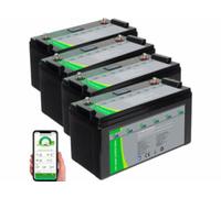 4 batteries LiFePO4 connectées avec fonction BMS et écran LCD - 1920 Wh TKA