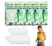 4 Boîtes Moringa Patchs Minceurs 10 en 1, Patch Nano Microneedle Minceur, Moringa X Berberine Patch Minceur, Portable, Confortable et Adapté à Tous les Types de Peau