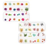 4 Boîtes Ornements D’ongles Floraux en Fleurs Séchées, Lot | Décorations DIY pour Débutants, Usage Maison et Scrapbooking, Léger, pour Ongles Press-on et Marque-pages