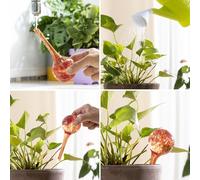 4 BOULES D'IRRIGATION AUTOMATIQUE SYSTÈME D'IRRIGATION À GOUTTE