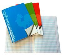 4 carnets spéciaux pour dysgraphie et dyslexie avec des carrés de 1 cm.