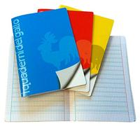 4 carnets spéciaux pour dysgraphie et dyslexie avec des carrés de 5 mm.