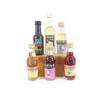 4 lcools divers lot de 6 mignonettes divers producteurs pages noisette passoa coconut cacao alcool années 70