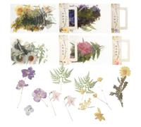 4 Ensembles Autocollant PET Plantes Vintage, Lot de Sets