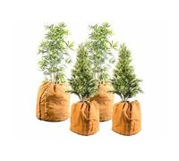 4 housses d?hivernage pour plantes au format normal et XL